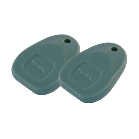 RFID TAG 125kHz EM utformade som nyckelring, vattentät