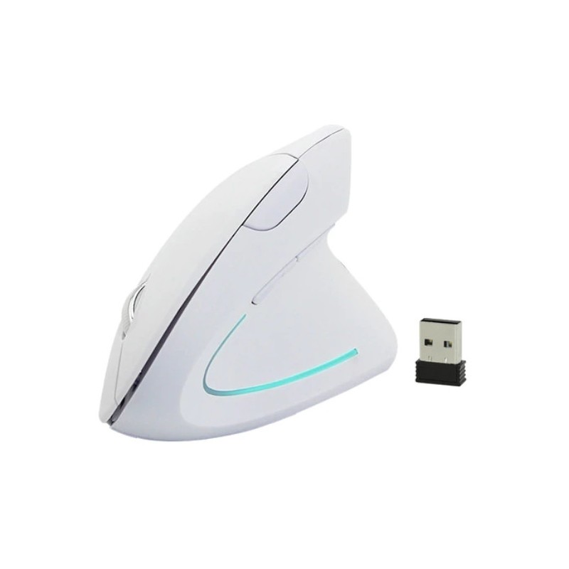 White ergonomic wireless USB mouse - DANBIT
