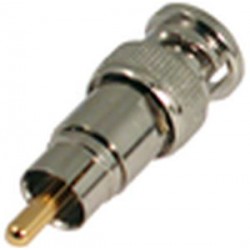 Adapter BNC male to Phono RCA male