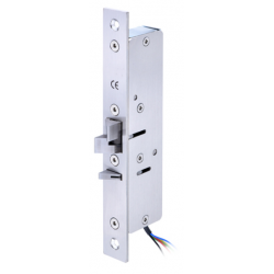 Electric Lock Box for Swing Doors - 272kg, 24/25/28mm, 12/24VDC