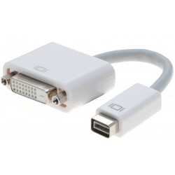 Mini DVI-D adapter for DVI-D - 1920 x 1200