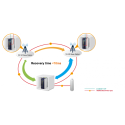 6 ports Managed switch, 4 x RJ45 10/100/1000/2500Mbps, 2 x SFP slot 1000/2500Mbps 9-48VDC or 24VAC supply voltage