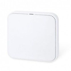 Wi-Fi 6 Dual Band Access Point 3000 Mbps - PoE, 2 LAN-portar