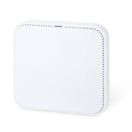 Wi-Fi 6 Dual Band Access Point 3000 Mbps - PoE, 2 LAN-portar