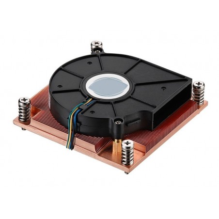 Kylare sock.2011 kupppar horisontillell