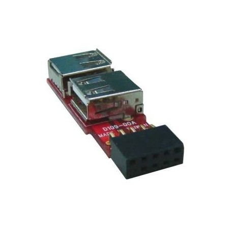 USB-stifthuvud från moderkort till 2 x USB-A fysisk honkontakt intern adapterkontakt