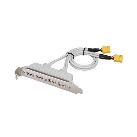 Bakplatta med 4 USB-honkontakter & kabel med 2 x 9-stiftskontakter.